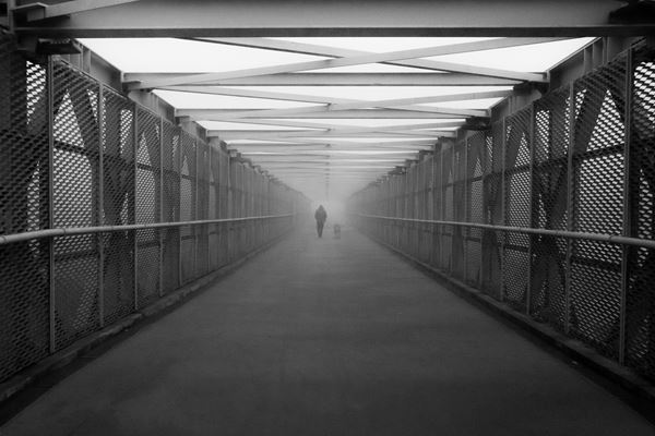 Elliott Grieshofer - Passeggiata nella nebbia