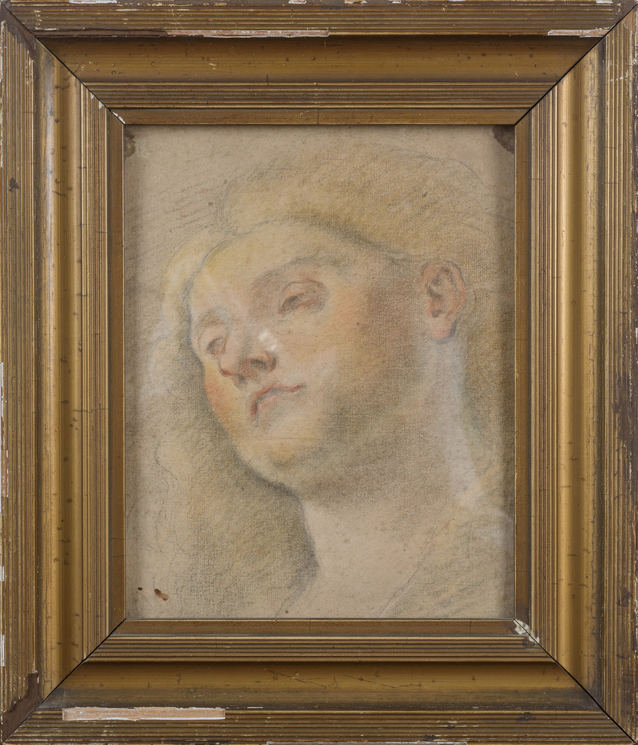 Studio di volto femminile