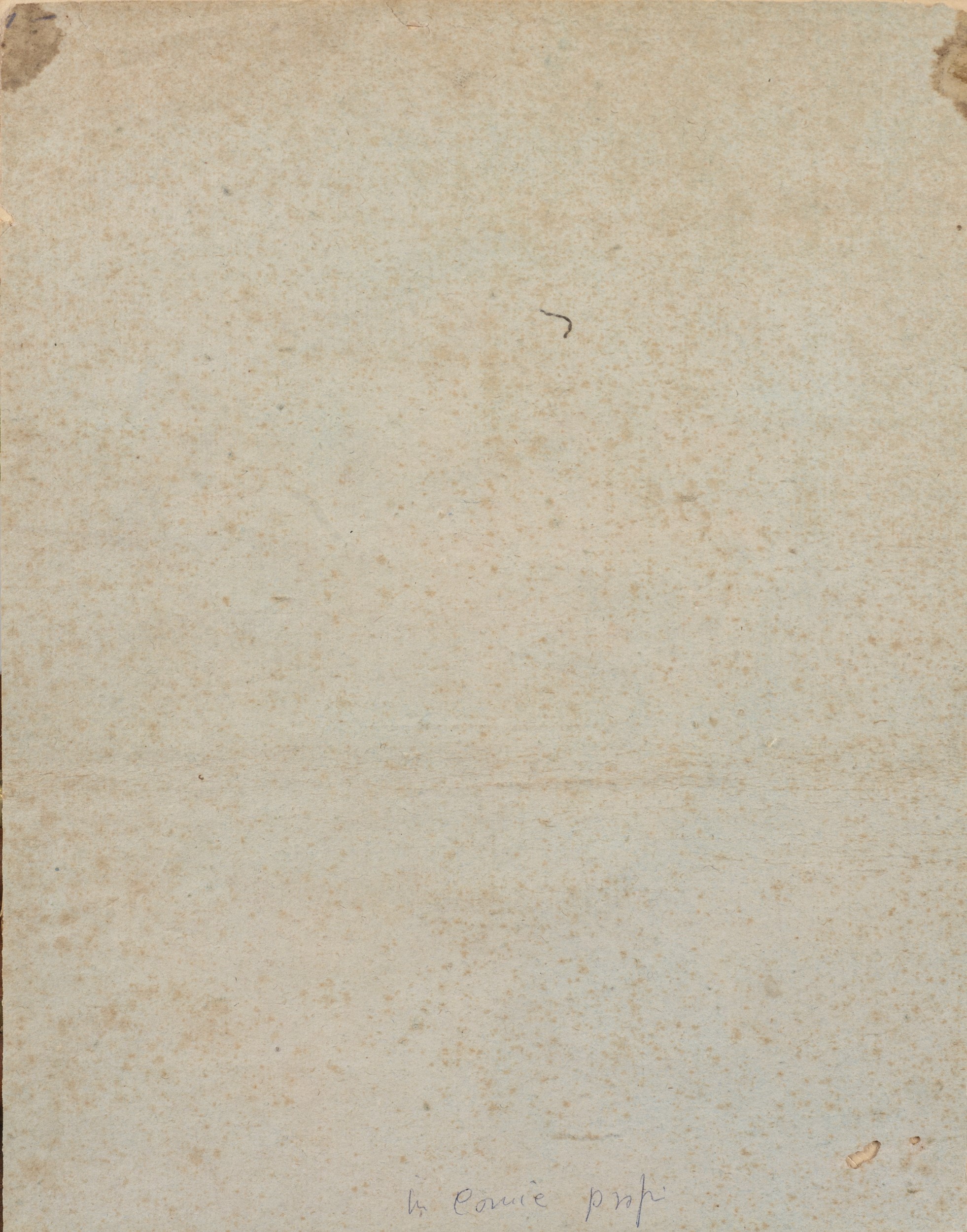 Studio di volto femminile