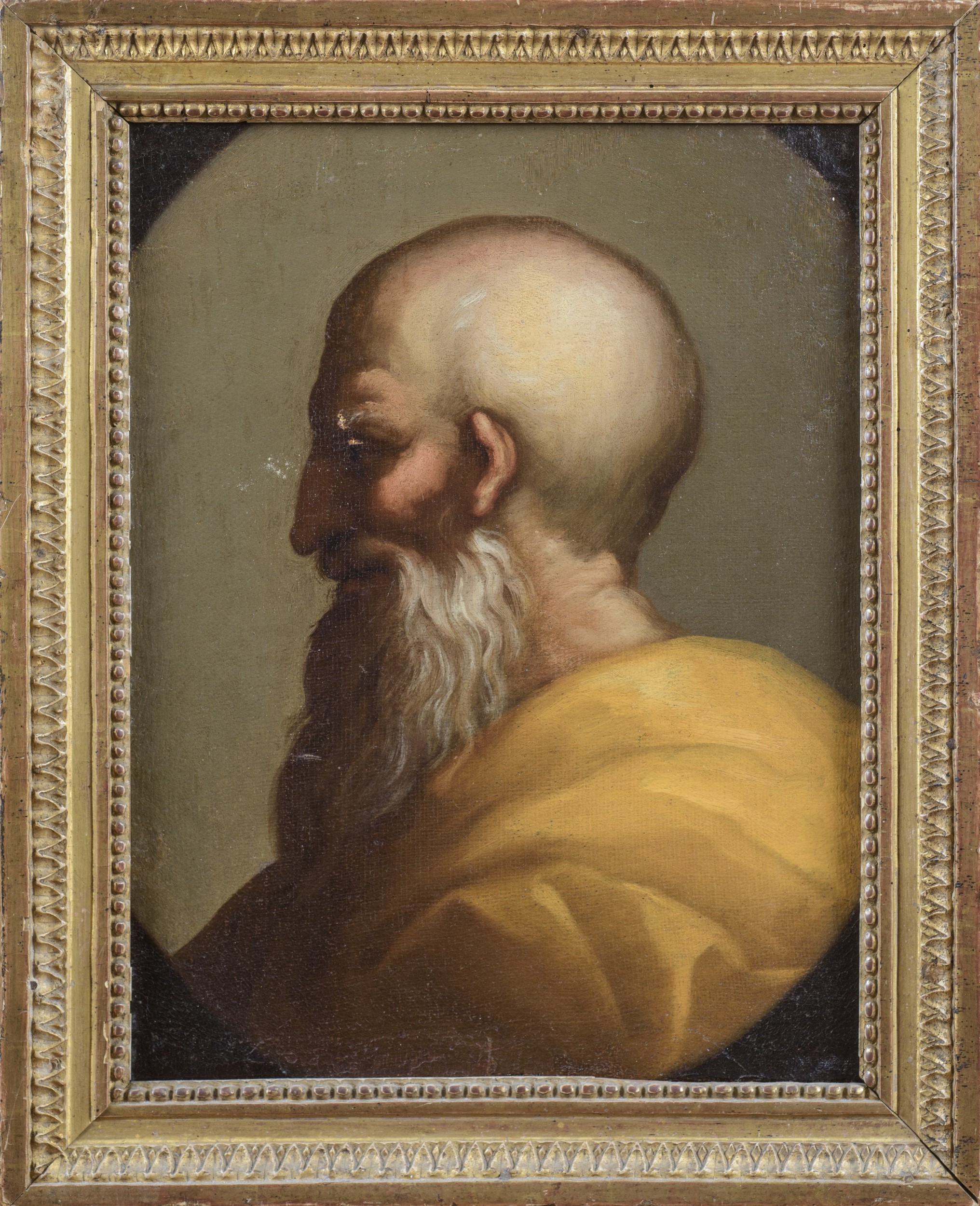 Profilo di Filosofo
