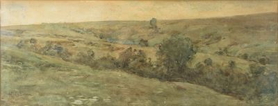 Paesaggio collinare