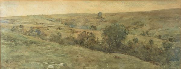 Henry Coleman - Paesaggio collinare