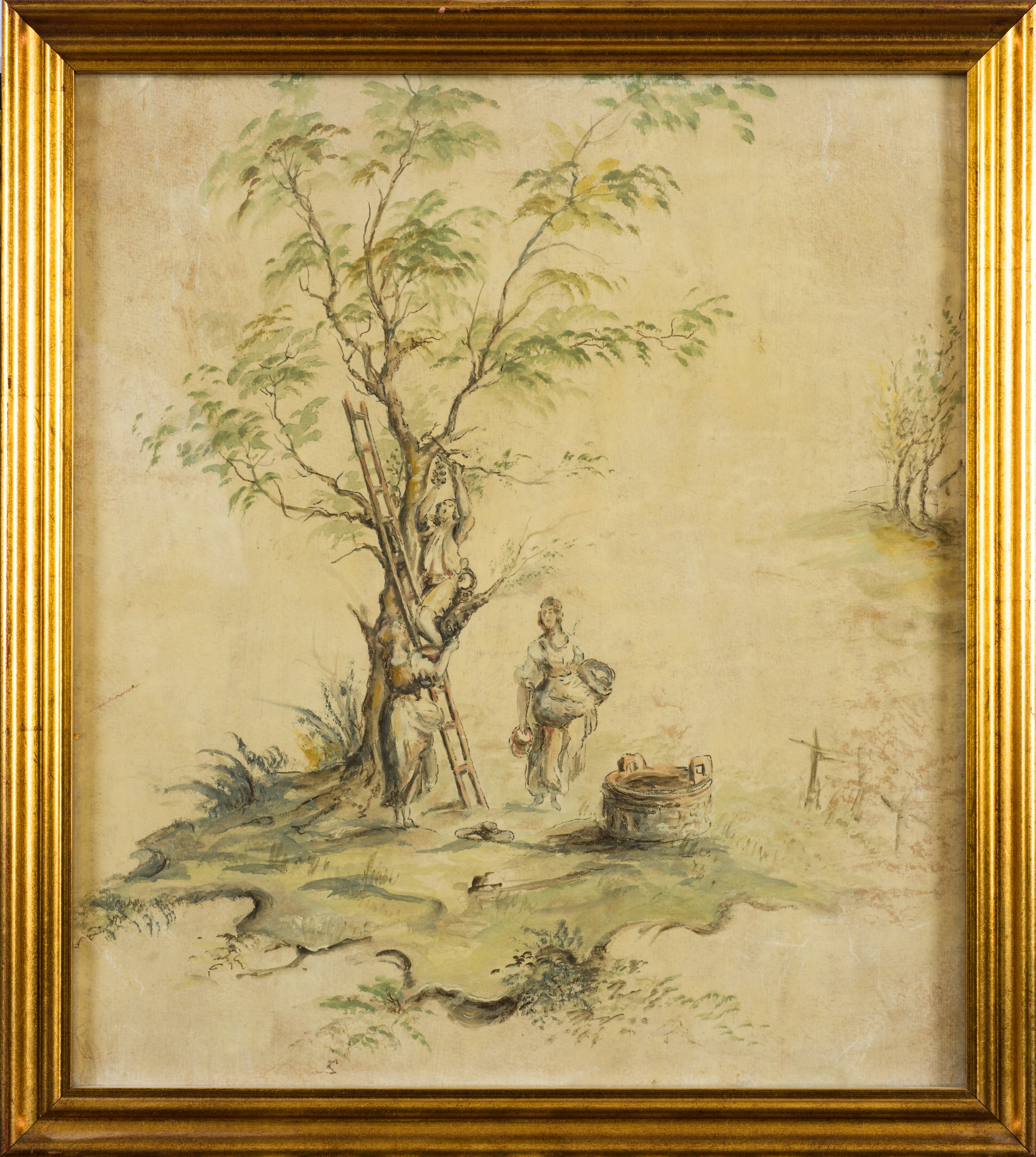 Serie di quindici tempere, Francia, seconda metà del XVIII secolo, tempera su carta