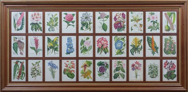 SERIE DI 4 STAMPE RAFFIGURANTI FIORI