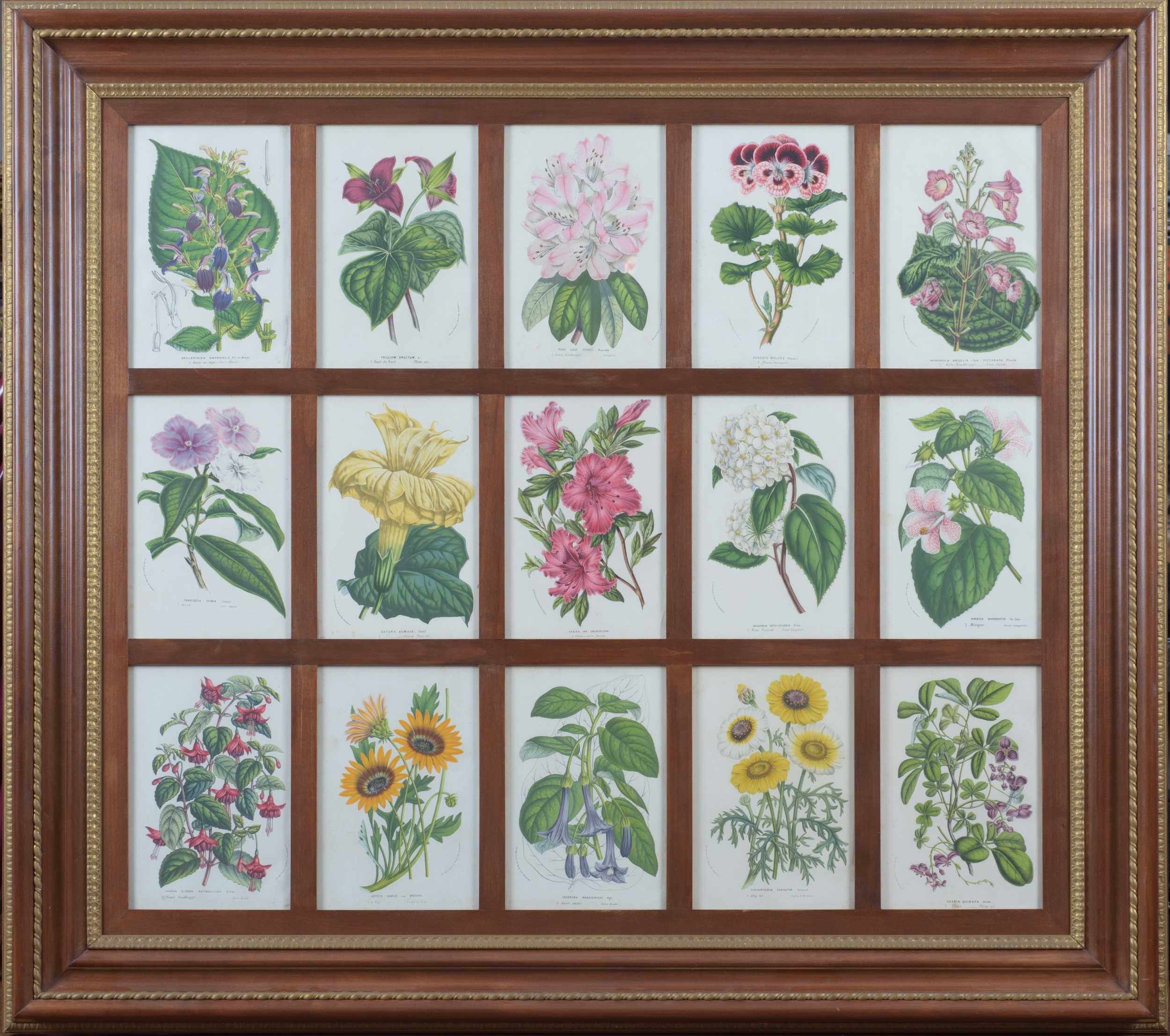 Manifattura moderna, Serie di 4 stampe raffiguranti fiori