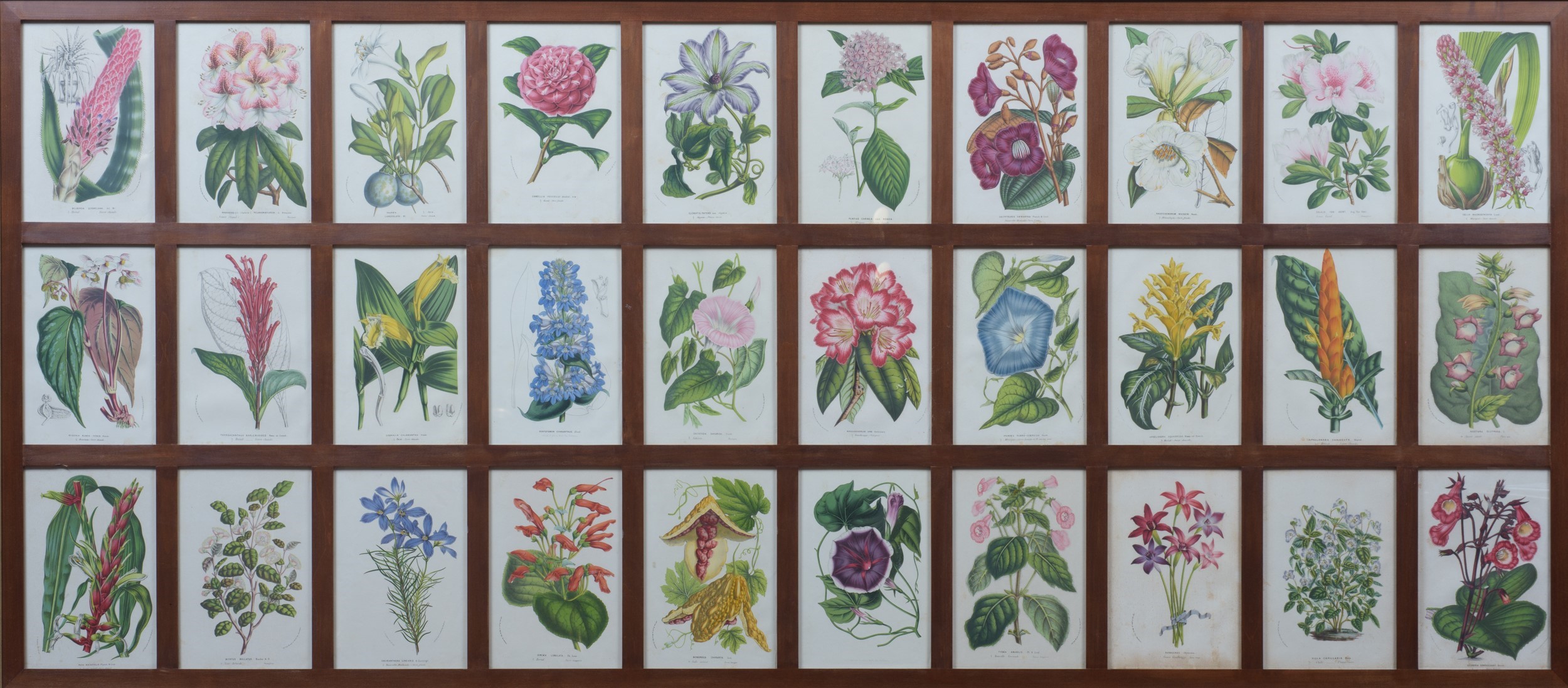 Manifattura moderna, Serie di 4 stampe raffiguranti fiori