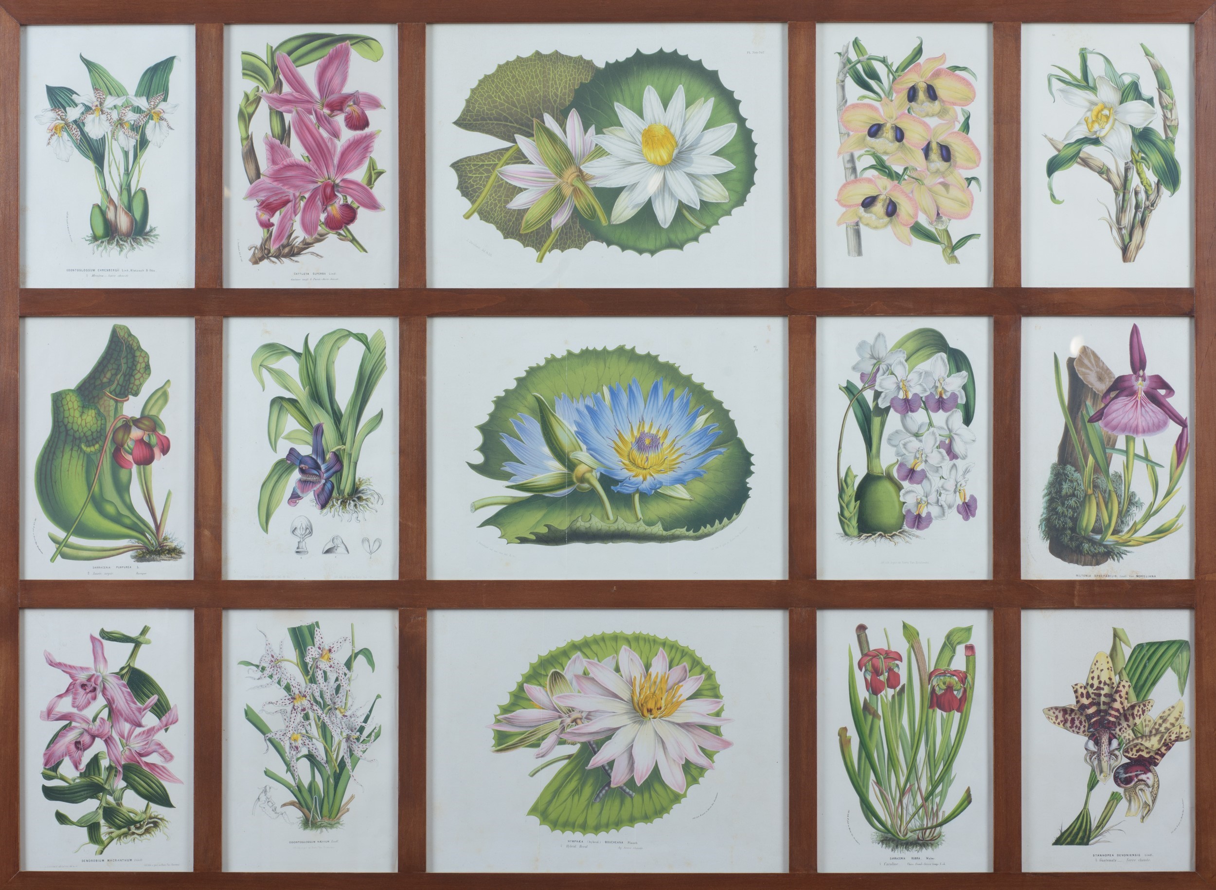 Manifattura moderna, Serie di 4 stampe raffiguranti fiori
