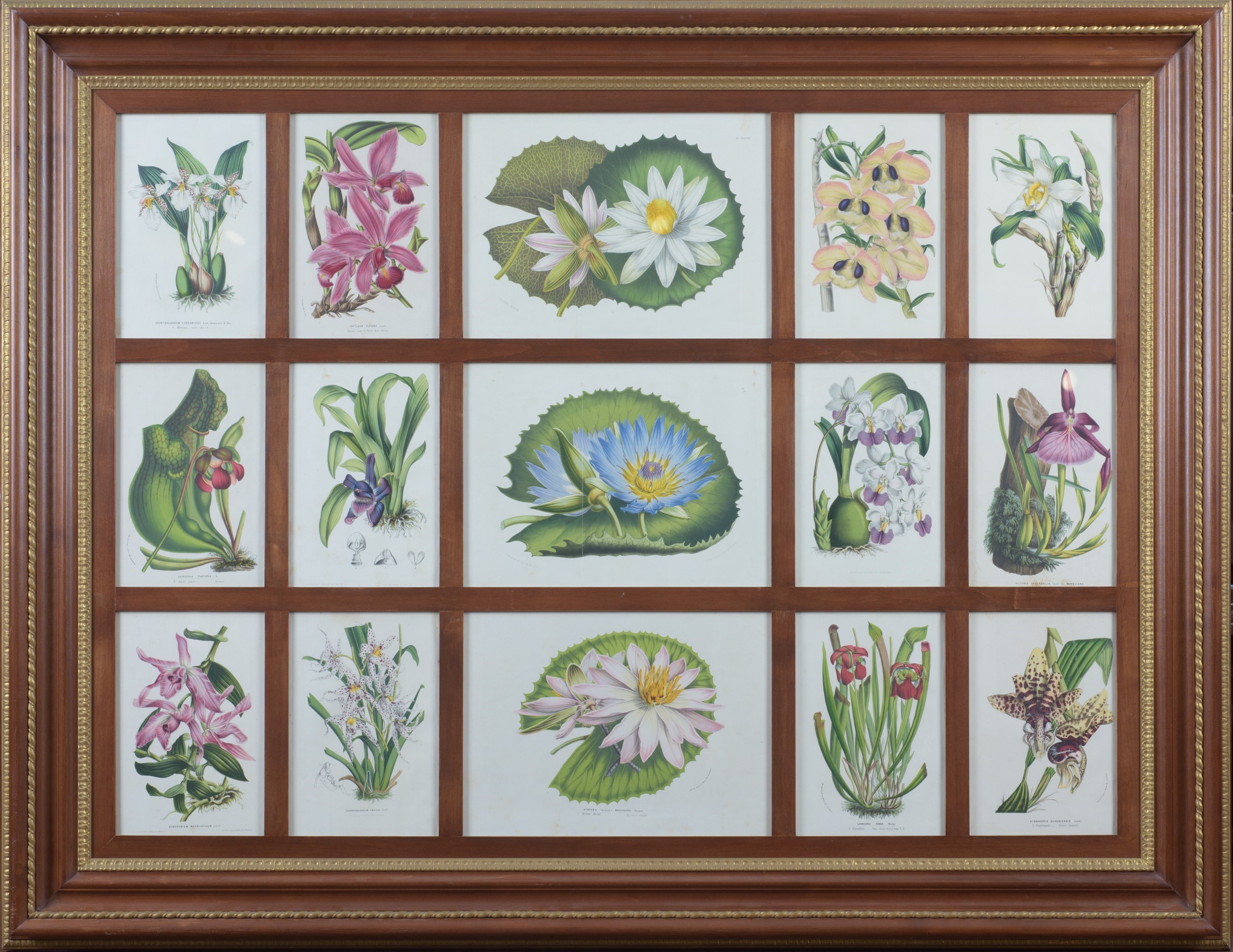 Manifattura moderna, Serie di 4 stampe raffiguranti fiori