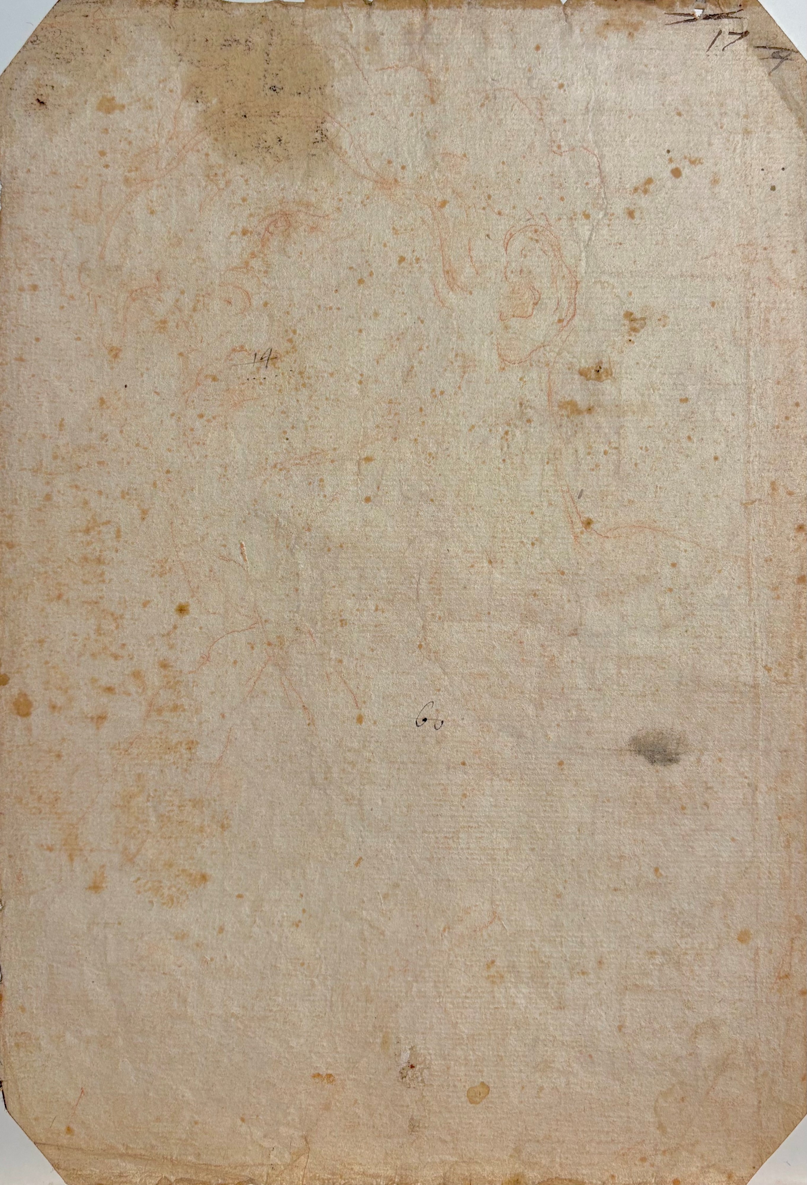 Sconosciuto, Due studi di testa di giovane e fanciulla, sanguigna su carta (recto/verso)