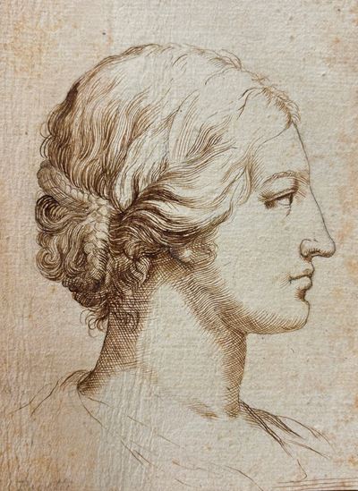 Testa femminile di profilo