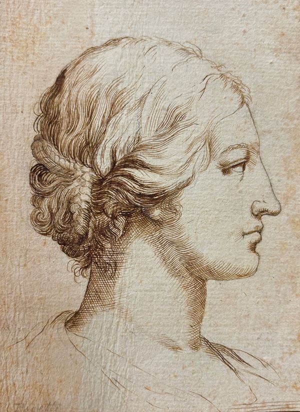 Agostino Carracci - Testa femminile di profilo