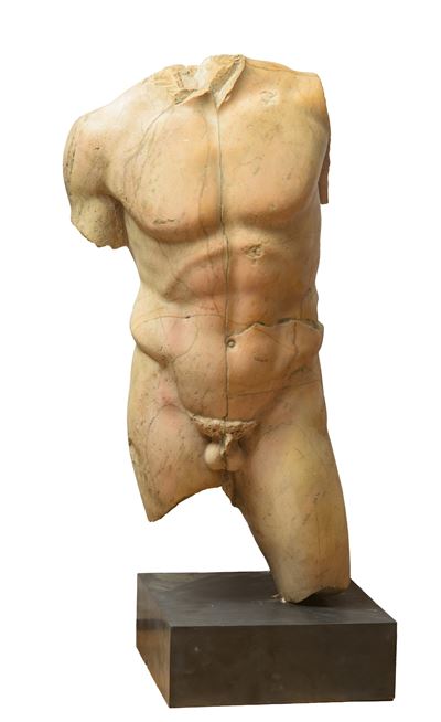 Torso in Giallo Antico di Numidia
