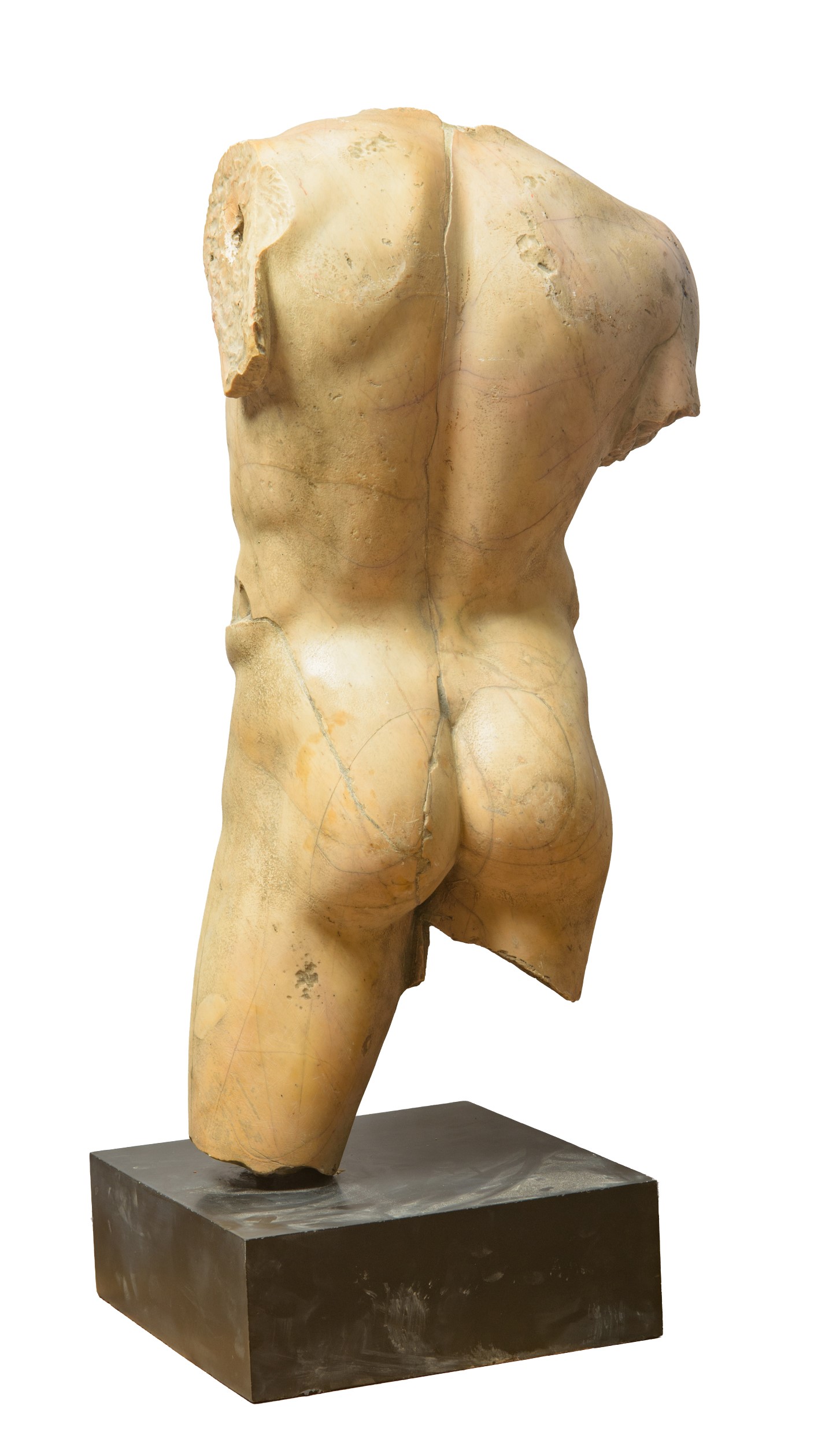 Torso in Giallo Antico di Numidia