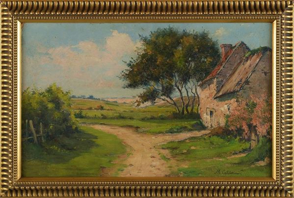 Paesaggio, case e alberi