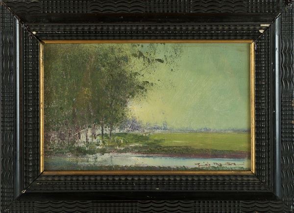 Swamp