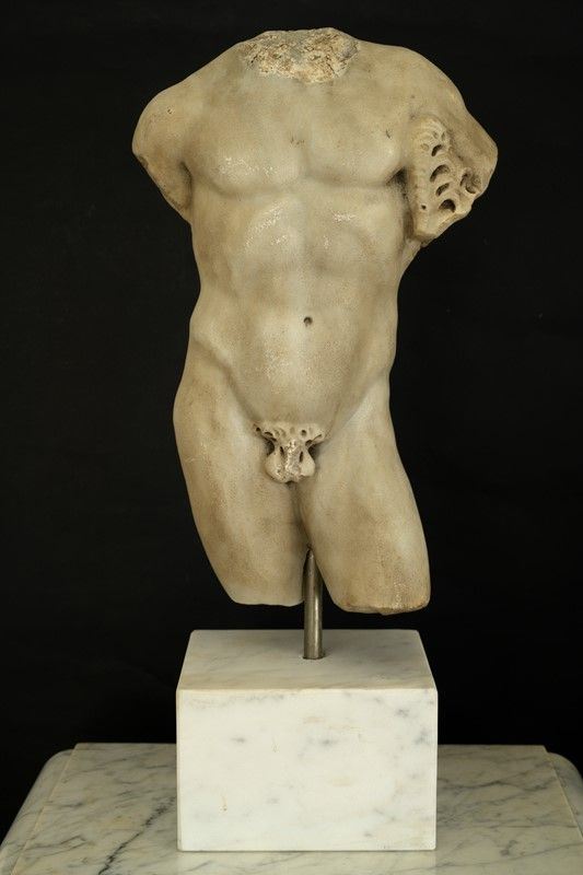 Torso 